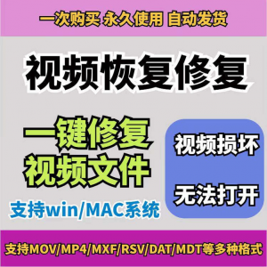损坏MP4视频修复软件断电恢复工具短片导出摄像机视频文件修复-虚拟货源仓