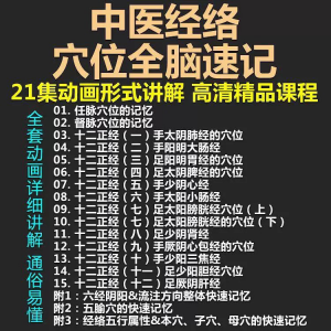 中医经络穴位全脑速记视频教学快速记忆动画形象加深记忆课程教程-虚拟货源仓