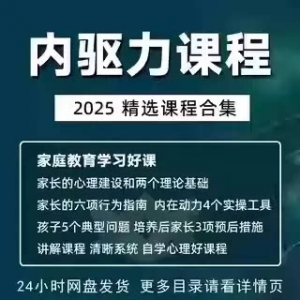 内驱力培训课程培养孩子自觉性提升内在亲子教育学习电子版资料-虚拟货源仓