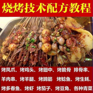 正宗全国烧烤技术配方全套视频教程配料技巧制作培训教学资料大全-虚拟货源仓