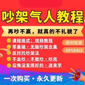 吵架指南教程视频全集从入门到精通技巧培训学习在线课程素材资料-虚拟货源仓