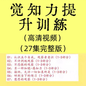 觉知力训练感知力国学智慧2025年心理学自我意识内心疗愈视频教程-虚拟货源仓
