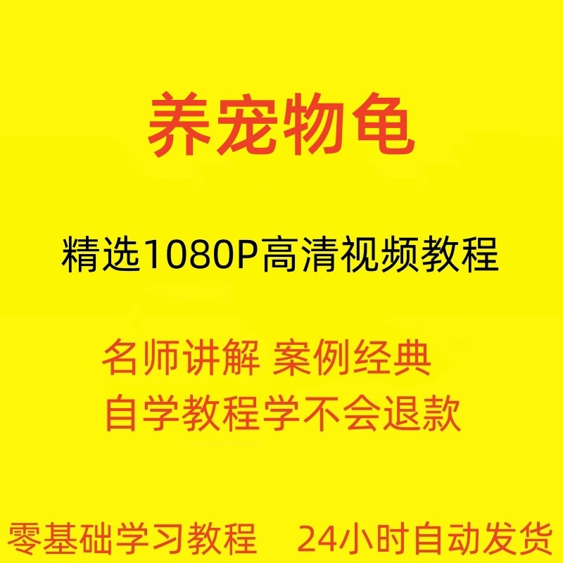 养宠物龟饲养视频教程全套从入门到精通技巧培训学习在线课程-虚拟货源仓