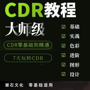 cdr教程视频Coreldraw自学平面设计广告排版零基础入门学习课程-虚拟货源仓
