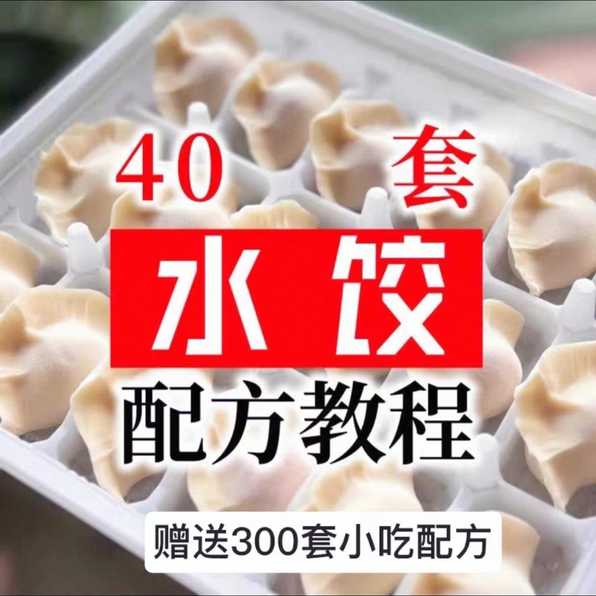 【0.01秒发】40套水饺技术配方 特制技术视频教程-虚拟货源仓