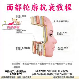 美商课程面部轮廓抗衰美肤减龄变美视频教程形象管理内在美好气色-虚拟货源仓