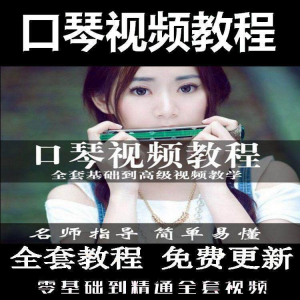 口琴自学教程视频零基础初学者入门到专业十孔24孔教学-虚拟货源仓