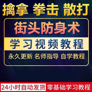 街头防身术擒拿拳击散打视频教程全套入门自学零基础学习教程视频-虚拟货源仓