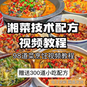 【0.01秒发】98道湘菜技术配方视频教程商用湖南菜炒菜特色小吃-虚拟货源仓