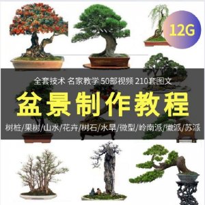 盆景制作技术视频教程工艺教学果树桩山水微型造型全套-虚拟货源仓