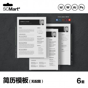 6套高级英文简历Word简历 ai psd设计师简历模板毕业生简历CV29-虚拟货源仓