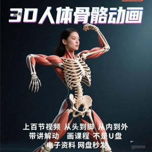 中医人体骨骼肌肉学习3D动态讲解演示视频自学零基础中医人体高考-虚拟货源仓