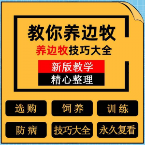边牧训练方法教程边境牧羊犬驯养技术饲养喂养选购训犬技巧大全套-虚拟货源仓