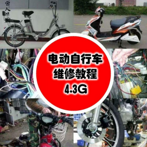 学电动车维修技术电动自行车维修技术电瓶修复技巧视频教程教学-虚拟货源仓