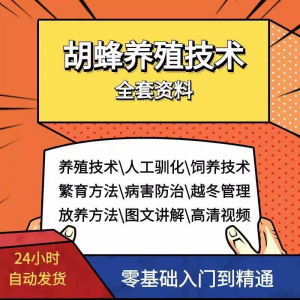 胡蜂养殖技术蜜蜂视频资料黄蜂黑盾怎样养胡蜂人工饲养教程大全-虚拟货源仓