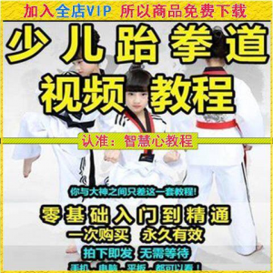 跆拳道自学教学视频跆拳道训练视频跆拳道运动教程少儿培训素材-虚拟货源仓