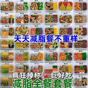 减肥食谱电子版课程 减脂餐一日三餐指导科学健康瘦身配餐计划-虚拟货源仓