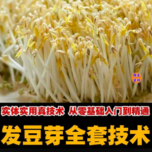 自学发豆芽技术资料豆芽加工制作方法教学 培育豆芽商用视频教程-虚拟货源仓