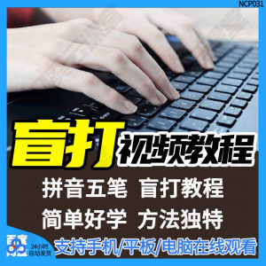 盲打不看键盘打字视频教学网课指法纠正零基础普通键盘私教版资料-虚拟货源仓