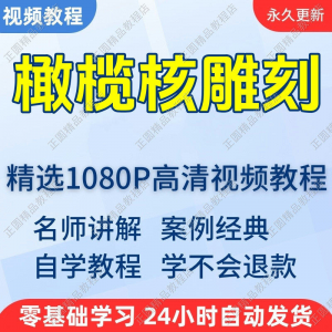 橄榄核雕刻视频学习教程新手自学零基础入门精通教学课程全集-虚拟货源仓