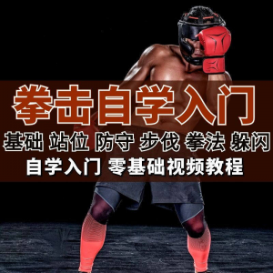 全套拳击指导视频教程自学零基础小白入门自卫搏击格斗防护资料-虚拟货源仓