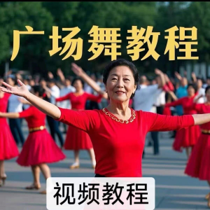 中老年广场舞视频下载高清视频教学打包MP4 MP3背面动作分解教程-虚拟货源仓