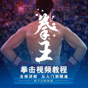 拳击教学视频 自学教程 训练零基础运动入门健身搏击格斗武术课程-虚拟货源仓
