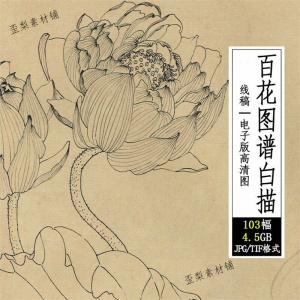 百花图谱白描线稿图集 国画花卉植103幅tif格式3.6G高清图片素材-虚拟货源仓