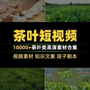 茶叶茶业茶具茶道茶艺茶文化知识文案茶园采茶泡茶高清短视频素材-虚拟货源仓