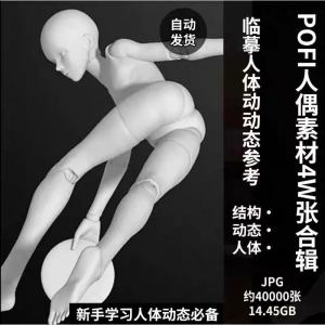 pofi无限人偶4W截图绘画素材pofi无线人偶人体动态学习素材临摹-虚拟货源仓