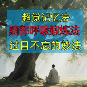 过目不忘修炼记忆力脑部呼吸锻炼法改造大脑健身气功养生训练方法-虚拟货源仓