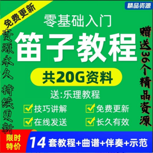 零基础笛子教程自学入门进阶视频初学者教学成人儿童学竹笛教材全-虚拟货源仓