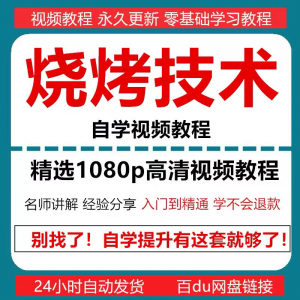 烧烤技术教程视频配方书东北重庆烧烤技术配方教程自学教材零基础-虚拟货源仓